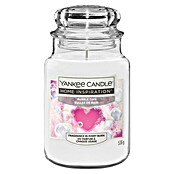 Yankee Candle Home Inspirations Duftkerze (Im Glas, Bubble Time, Large) | BAUHAUS