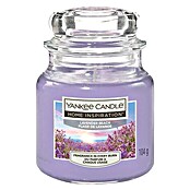 YANKEE CANDLE Pebble - Bruciatore Grey Lilac - Bio Boutique La