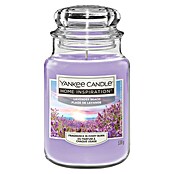 Yankee Candle Home Inspirations Duftkerze (Im Glas, Lavender Beach, Large) | BAUHAUS