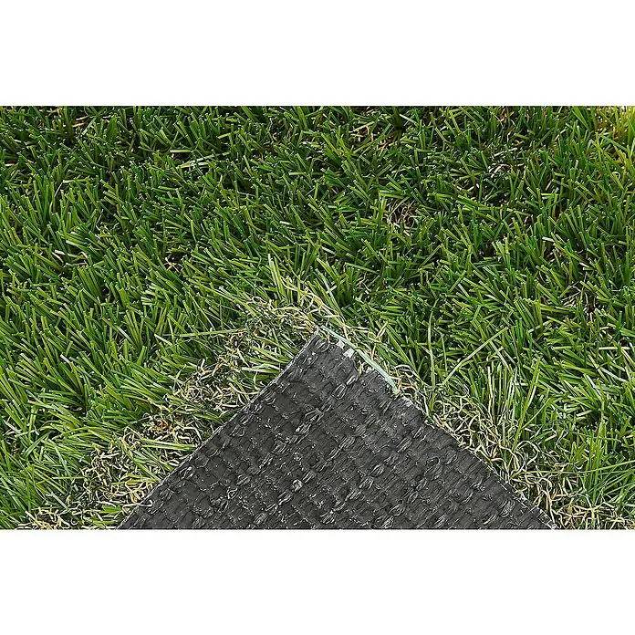 Kunstrasen Meterware Auckland - Breite: 200 cm, Grün, Mit Drainagenoppen - Nahaufnahme eines Stücks Kunstrasen mit grünen Fasern und einer schwarzen Unterseite, ideal für Gärten.