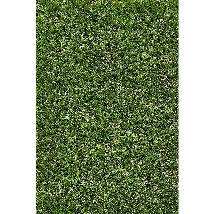 Kunstrasen Meterware Auckland - Breite: 200 cm, Grün, Mit Drainagenoppen - Nahaufnahme von Kunstgras, das eine dichte, grüne Oberfläche für Gärten, Terrassen und Sportplätze bietet. Ästhetisch, pflegeleicht und langlebig.