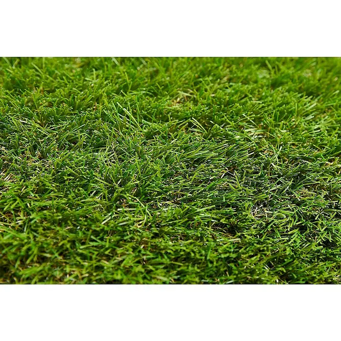 Kunstrasen Meterware Auckland - Breite: 200 cm, Grün, Mit Drainagenoppen - Nahaufnahme von üppigem, sattem Kunstrasen, ideal für Gärten und Landschaftsgestaltung.