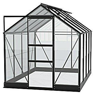 Vitavia Gewächshaus Eris 5000 (Außenmaß inkl. Dachüberstand (B x T): 195 x 261 cm, Material Seitenwand: Glas, 3 mm, Schwarz)