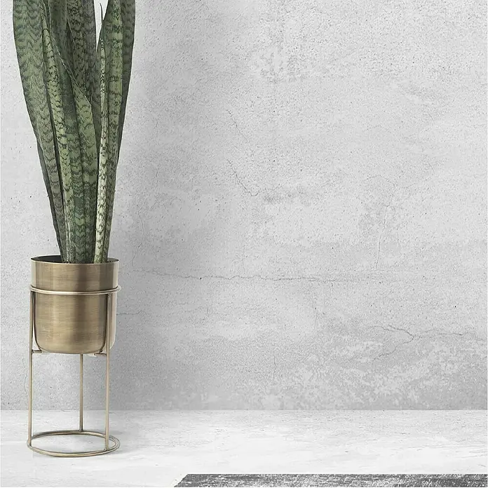 Fleur Kit Microcemento - Greige, 2 kg - Planta de Sansevieria en una elegante maceta dorada sobre un soporte minimalista, aportando un toque moderno a cualquier estancia.
