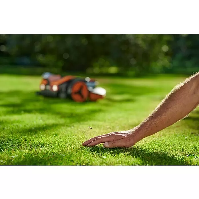 Worx PowerShare 20V Mähroboter Landroid Vision L1600 - 1.600 m², Schnittbreite: 22 cm, Kamera-gestützte Navigation - Anwendungsbeispiel