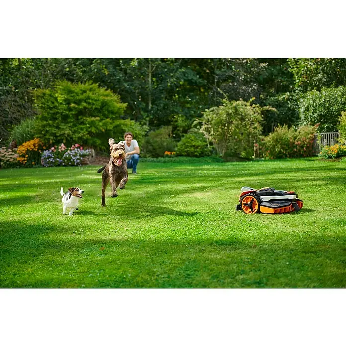 Worx PowerShare 20V Mähroboter Landroid Vision L1300 - 1.300 m², Schnittbreite: 22 cm, Kamera-gestützte Navigation - Der Vision Mähroboter von Kress beim Rasenmähen, während zwei Hunde spielen und ein Mann zusieht. Perfekt für einen gepflegten Garten.
