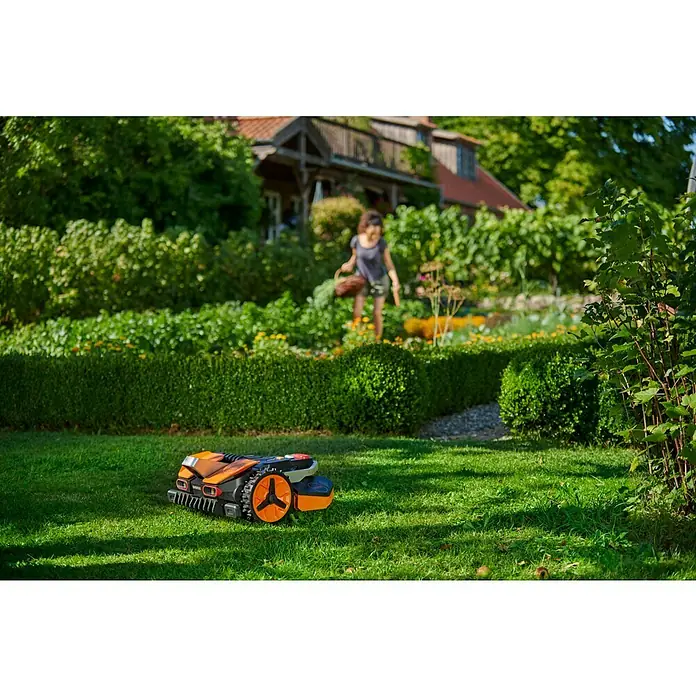 Worx PowerShare 20V Mähroboter Landroid Vision L1300 - 1.300 m², Schnittbreite: 22 cm, Kamera-gestützte Navigation - Ein oranger Roboter-Rasenmäher steht auf einem grünen Rasen vor einer gepflegten Hecke und einem Haus. Er sorgt für einen perfekten Schnitt.