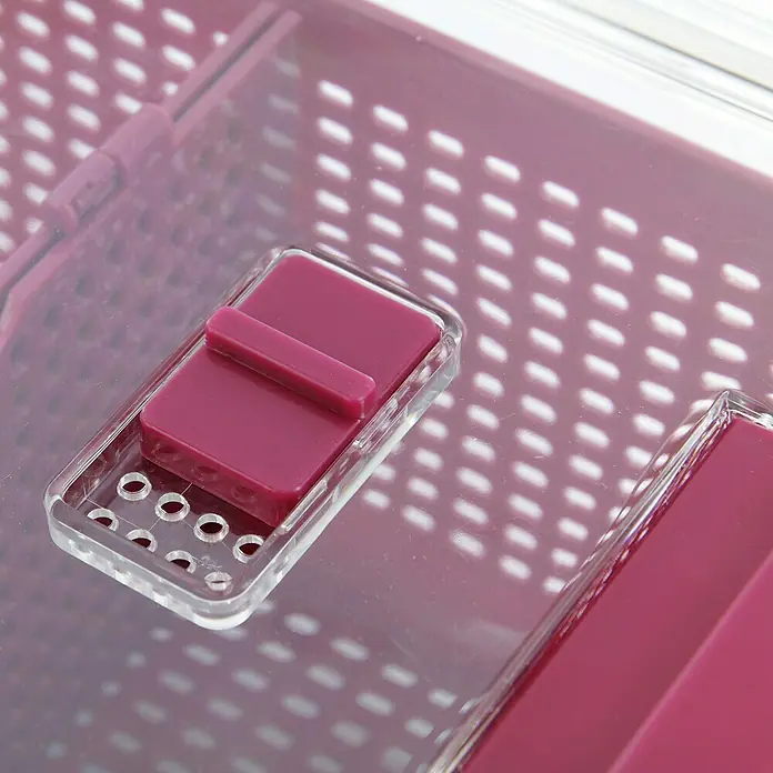 Contenedor hermético - L x An x Al: 18,5 x 28,5 x 15 cm, Número de compartimentos: 2 ud. - Primer plano de un recipiente de almacenamiento con una tapa rectangular transparente y un mecanismo de bloqueo burdeos.