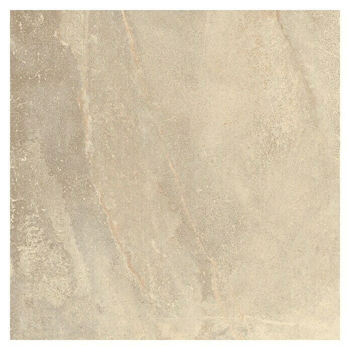 Terrassenfliese Aspen 2.0 (60 x 60 x 2 cm, Beige, Matt) | BAUHAUS