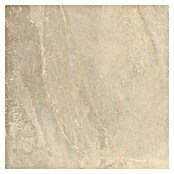 Terrassenfliese Aspen 2.0 (60 x 60 x 2 cm, Beige, Matt) | BAUHAUS