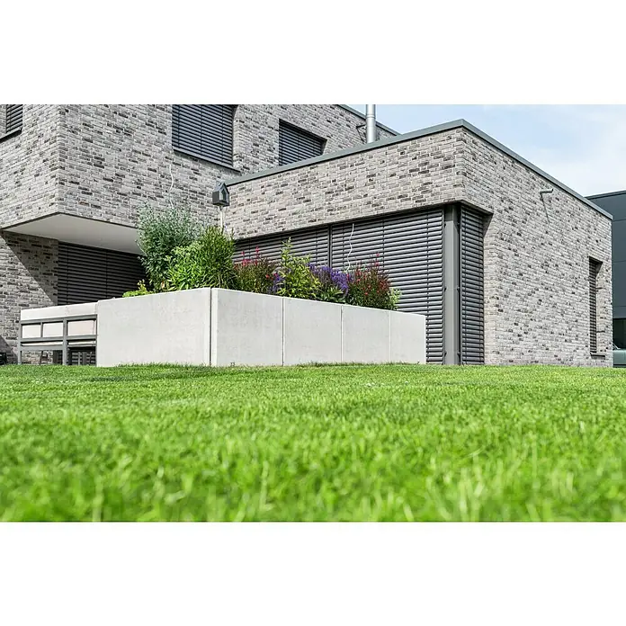 Diephaus L-Stein - 55 cm, 50 cm, Stärke: 12 cm, Grau - Nahaufnahme eines erhöhten Betonpflanzgefäßes mit üppigem Grün vor einem modernen Haus mit grauer Backsteinfassade.