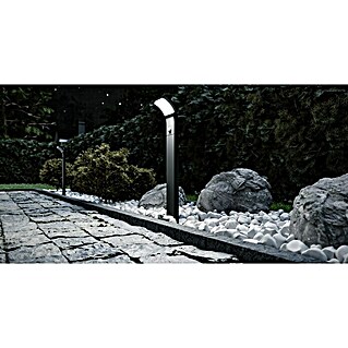 Starlux Sensor-LED-Außenwegeleuchte Udine (7 W, Warmweiß, Höhe: 600 mm, IP54)