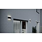 Trio Leuchten LED-Außenwandleuchte Thames II (9 W, 9 x 17,5 x 3 cm, Anthrazit, IP54) | BAUHAUS