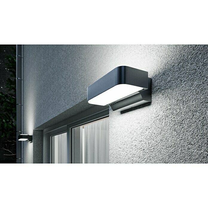 Steinel LED-Außenleuchte L 810 iHF Up-/Downlight (Leistung: 12 W, Farbe Gehäuse: Anthrazit, IP44)