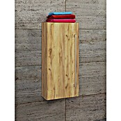 VCM Badinos Hängeschrank (33 x 22 x 75 cm, Honig-Eiche) | BAUHAUS