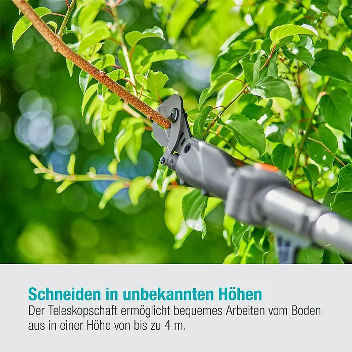 Gardena Power for All 18V Baumschere HighCut - 18 V, 1 Akku, Max. Aststärke: 28 mm, Länge: 255,7 cm - Astschneider in Aktion: Teleskopstiel ermöglicht müheloses Schneiden von Ästen in bis zu 4 m Höhe.