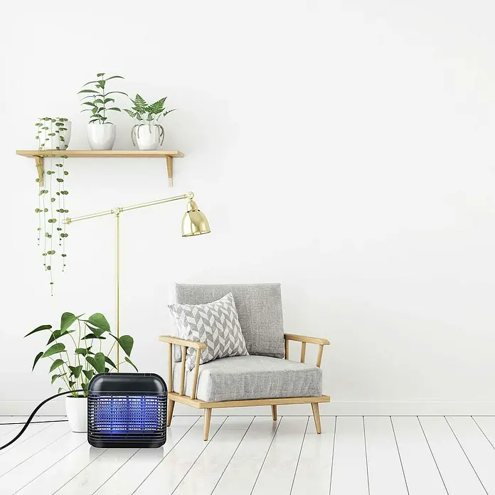 Farolillo antimosquitos LED - 6 W, Negro - Foto de interior de una habitación con un matamoscas colocado delante de una planta y una silla. El matamoscas es negro.