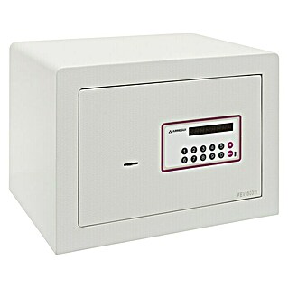 Arregui Caja fuerte para muebles Forma Evolution 150040 (L x An x Al: 38,5 x 30 x 27 cm, Tipo de cerradura: Códigos de usuario)