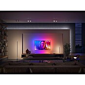 Philips Hue LED-Band Ambiance Gradient Erweiterung (Länge: 1 m, RGBW) | BAUHAUS