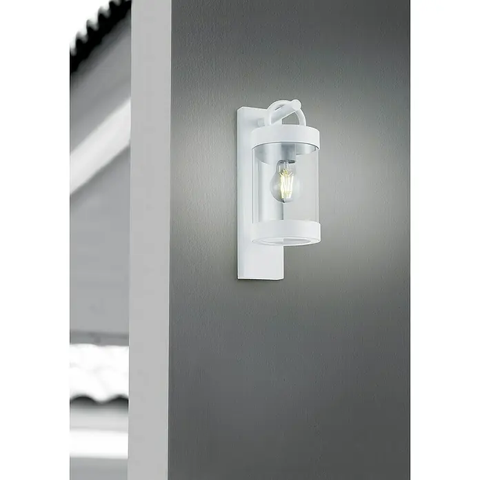 Trio Lighting Aplique exterior Sambesi - 28 W, L x An x Al: 12 x 12 x 33 cm, Blanco, E27 - Primer plano de un aplique de pared blanco con cilindro de vidrio transparente y bombilla decorativa sobre una pared gris.