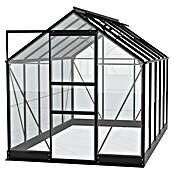 Vitavia Gewächshaus Eris 6200 (Außenmaß inkl. Dachüberstand (B x T): 195 x 323,2 cm, Material Seitenwand: Glas, 3 mm, Schwarz) | BAUHAUS