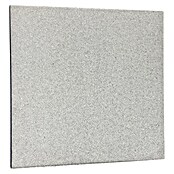 Gartenplatte (Grau, 50 x 50 x 5 cm, Beton)