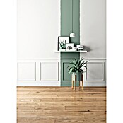 Schöner Wohnen Wandfarbe (Erhabenes Agavengrün, 2,5 l, Feinmatt)