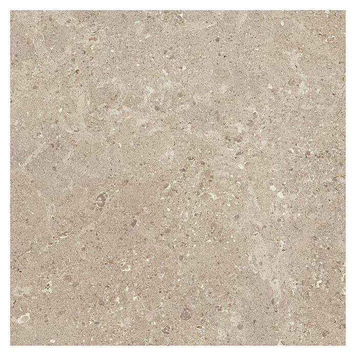 Marazzi Terrassenfliese Esterno 20T Gris Fleury (60 x 60 x 2 cm, Beige, Matt) | BAUHAUS