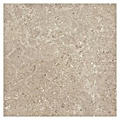 Marazzi Terrassenfliese Esterno 20T Gris Fleury (60 x 60 x 2 cm, Beige, Matt) | BAUHAUS