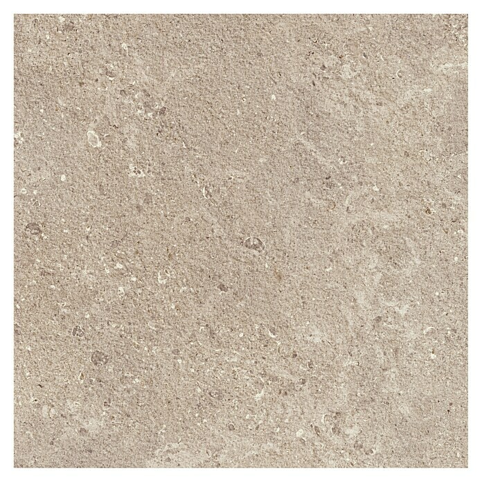 Marazzi Terrassenfliese Esterno 20T Gris Fleury (60 x 60 x 2 cm, Beige, Matt) | BAUHAUS