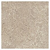 Marazzi Terrassenfliese Esterno 20T Gris Fleury (60 x 60 x 2 cm, Beige, Matt) | BAUHAUS