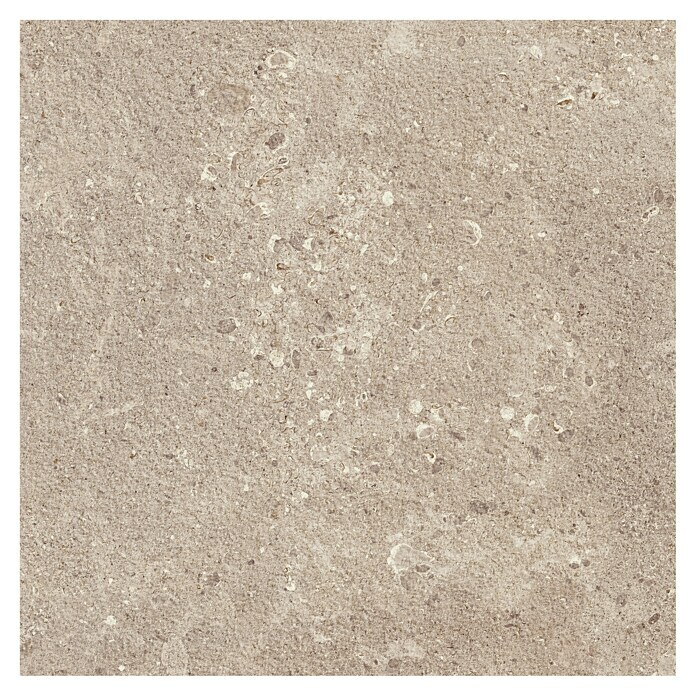 Marazzi Terrassenfliese Esterno 20T Gris Fleury (60 x 60 x 2 cm, Beige, Matt) | BAUHAUS