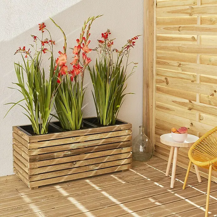Cerland Macetero para plantas Horizon - Dimensiones externas (L x An x Al): 90 x 40 x 40 cm, Madera, Natural - La jardinera de madera está plantada con gladiolos y crocosmias, al lado hay una mesa auxiliar con fruta y una silla de ratán.