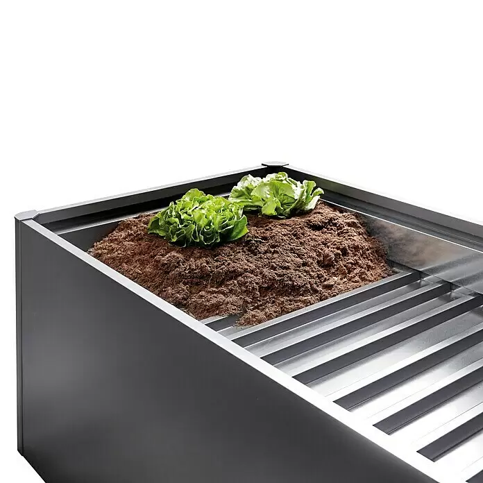 Biohort Zwischenboden - L x B: 200 x 50 cm - Dunkelgraues Metall-Pflanzgefäß mit internen Metalllamellen, gefüllt mit Erde und zwei kleinen Salatpflanzen.