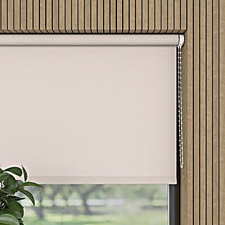 Expo Ambiente Rolo (Š x V: 140 x 275 cm, Krem, Univerzalen, Prepustnost za dnevno svetlobo)