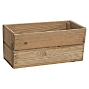 Cerland Macetero para plantas Hortense (L x An x Al: 19 x 19 x 40 cm, Natural) | BAUHAUS
