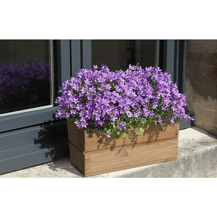 Cerland Macetero para plantas Hortense (L x An x Al: 19 x 19 x 40 cm, Natural) | BAUHAUS