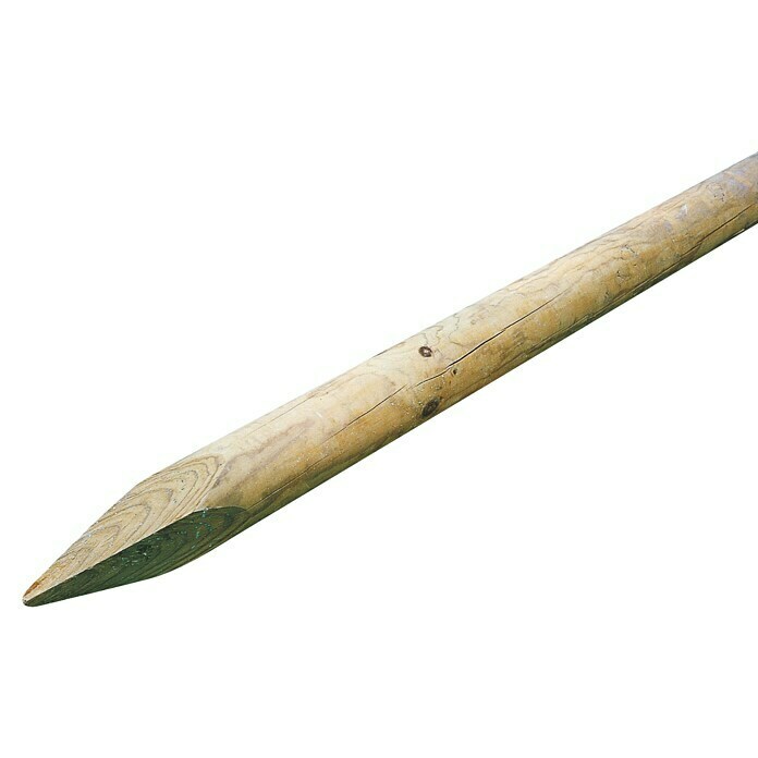 Forest-Style Tutor para plantas liso (Apto para: Plantas trepadoras, L x An: 250 x 7 cm)