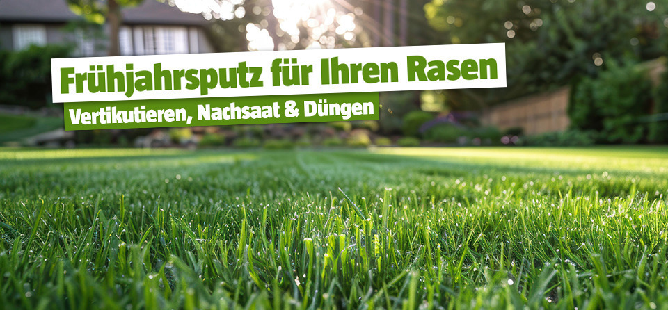 Rasen im Frühjahr