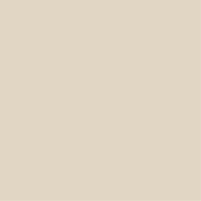 SCHÖNER WOHNEN-Farbe Wandfarbe Designfarbe - Wohliges Naturbeige, Matt, 2,5 l, Konservierungsmittelfrei - Sanfter Beigeton für dezente Eleganz. Die Farbe strahlt Wärme aus und eignet sich hervorragend für minimalistische Designs und ruhige Umgebungen.