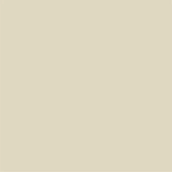 SCHÖNER WOHNEN-Farbe Wandfarbe DesignfarbeWohliges Naturbeige, Matt, 100 ml, Konservierungsmittelfrei