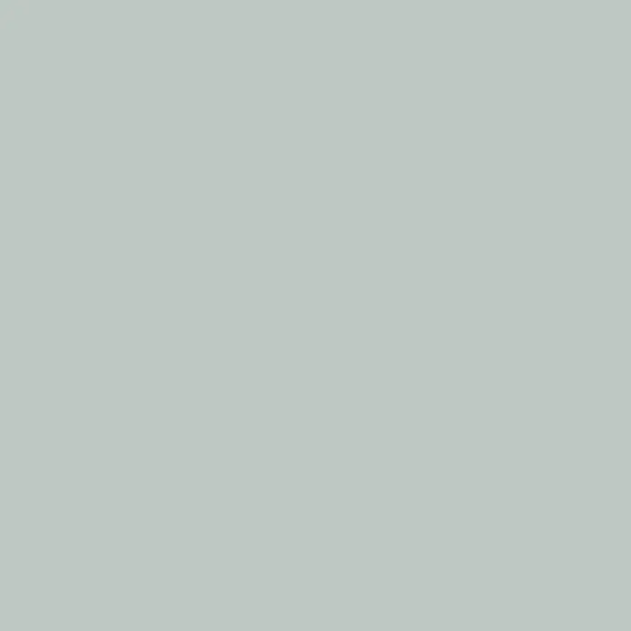 swingcolor Soft Colors WandfarbeAloe, Matt, 5 l - Neutralfarbiger Hintergrund, ideal für Präsentationen, Webdesign und vieles mehr. Vielseitig einsetzbar und unaufdringlich.