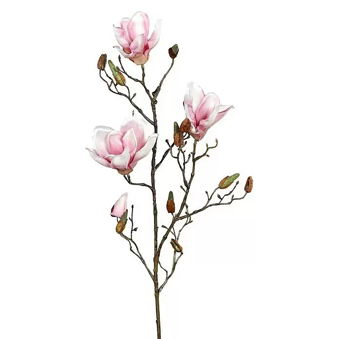Kunstblume Magnolienzweig - 87 cm, Pink/Cream, Kunststoff - Künstlicher Magnolienzweig mit zarten rosa-weißen Blüten und geschlossenen braun-grünen Knospen.