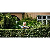 Stihl Benzin-Heckenschere HS 45 (0,75 kW, Schnittlänge: 60 cm) | BAUHAUS