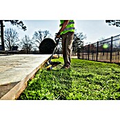 Worx ENVIRO Akku-Rasentrimmer EG161.9 (60 V, Ohne Akku) | BAUHAUS
