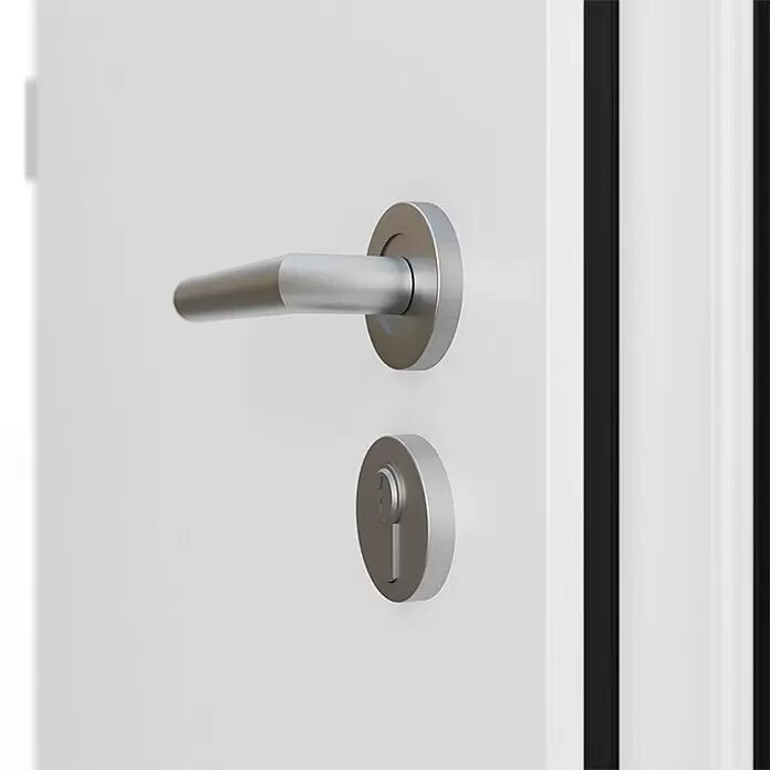 FM Türen Haustür DS92-16 - 100 x 200 cm, DIN Anschlag: Links, Weiß - Türgriff und passendes Schloss aus gebürstetem Metall.