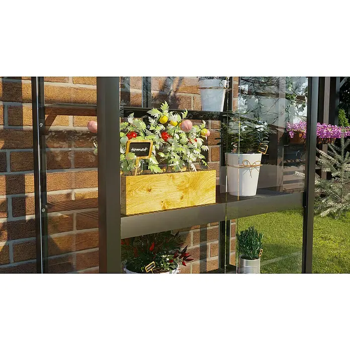 Gewächshaus-Einlegeboden für Balkongewächshaus - 80,5 x 11 x 6,5 cm, Dunkelgrau/Schwarz - Detailaufnahme eines Gewächshauses mit Pflanzen auf den Regalen, darunter Tomaten und Kräuter.