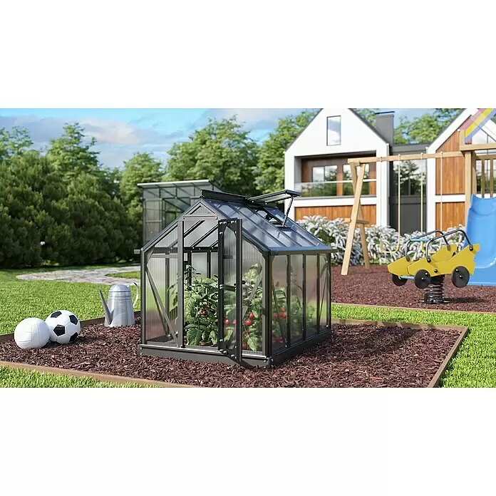 Vitavia Gewächshaus Merlin - Außenmaß inkl. Dachüberstand (B x T): 87,2 x 111,6 cm, Material Seitenwand: Kunststoff, 4 mm, Schwarz - Kleines dunkelgraues Gewächshaus mit transparenten Paneelen, offener Tür und Dachfenster, Tomatenpflanzen beherbergend, im Garten.