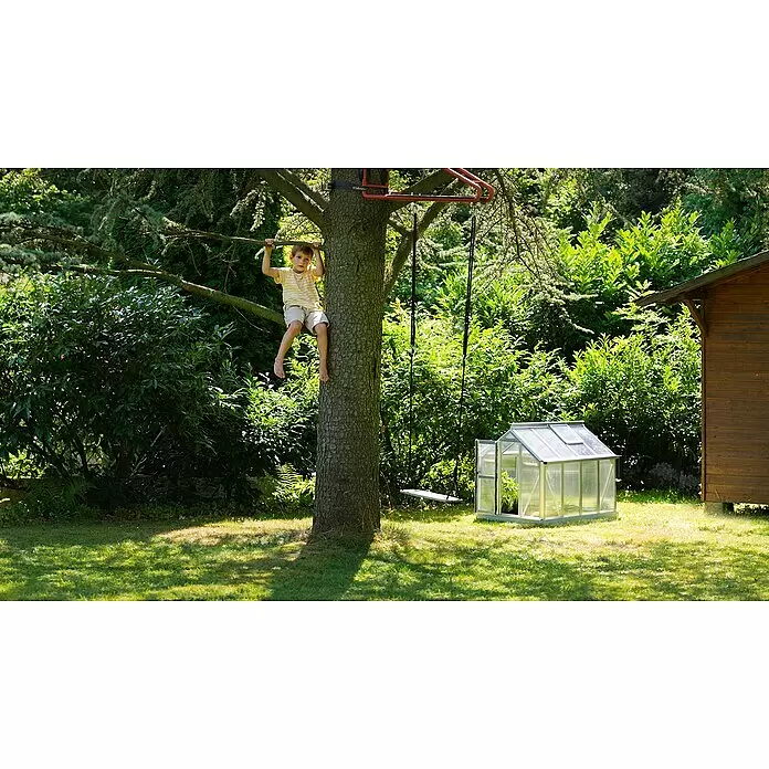 Vitavia Gewächshaus Merlin - Außenmaß inkl. Dachüberstand (B x T): 87,2 x 111,6 cm, Material Seitenwand: Kunststoff, 4 mm, Aluminium - Junge hängt am Baum neben einem Baumschaukel mit schwarzen Seilen und kleinem transparenten Gewächshaus im Garten.