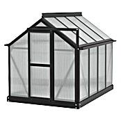 Vitavia Gewächshaus Merlin (Außenmaß inkl. Dachüberstand (B x T): 87,2 x 111,6 cm, Material Seitenwand: Kunststoff, 4 mm, Schwarz) | BAUHAUS